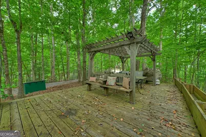 541 Little Bushy Head Road, Blue Ridge, GA 30513 - Photo 10