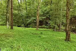 315 Duncan Bridge Ln, Cornelia, GA 30531 - Photo 64