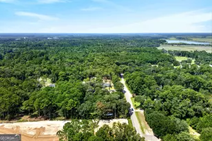 38 Jane St, Midway, GA 31320 - Photo 46