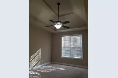 426 Stillwood Drive, Newnan, GA 30265 - Photo 12