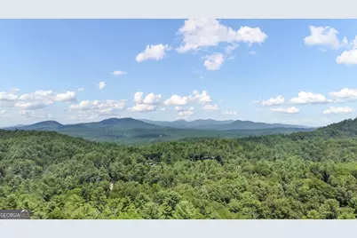 236 Hooch Holler Lane, Morganton, GA 30560 - Photo 2