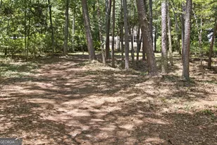834 Hardy Rd, Martin, GA 30557 - Photo 54