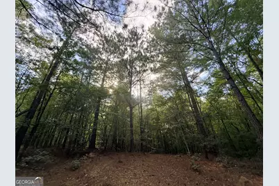 2200 Sharon Road, Crawfordville, GA 30631 - Photo 54