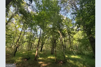 2200 Sharon Road, Crawfordville, GA 30631 - Photo 38