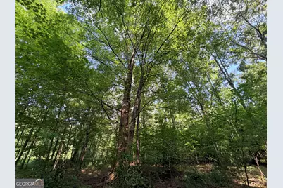 2200 Sharon Road, Crawfordville, GA 30631 - Photo 26