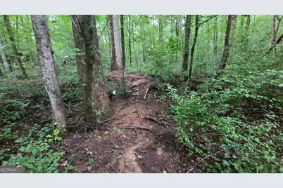 3065 Smokey Road, Athens, GA 30601 - Photo 34