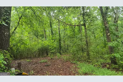 3065 Smokey Road, Athens, GA 30601 - Photo 46