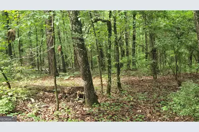 3065 Smokey Road, Athens, GA 30601 - Photo 22