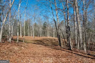 4011 Murphy Hwy, Mineral Bluff, GA 30559 - Photo 66