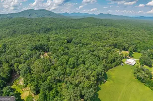 4011 Murphy Hwy, Mineral Bluff, GA 30559 - Photo 82