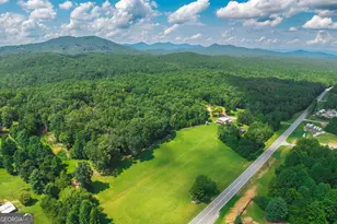 4011 Murphy Hwy, Mineral Bluff, GA 30559 - Photo 2