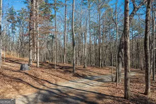 4011 Murphy Hwy, Mineral Bluff, GA 30559 - Photo 68