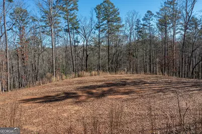 4011 Murphy Highway, Mineral Bluff, GA 30559 - Photo 70