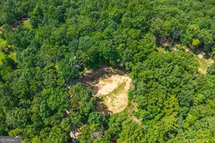 4011 Murphy Hwy, Mineral Bluff, GA 30559 - Photo 62