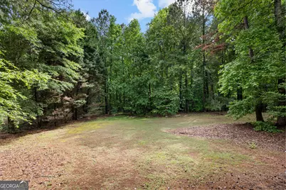 348 Loring Lane, Peachtree City, GA 30269 - Photo 66