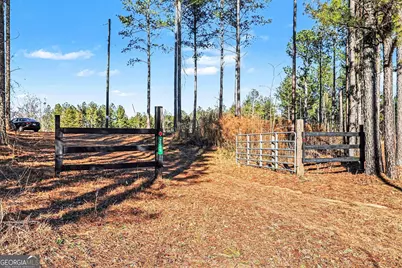 2285 Cherokee Road, Comer, GA 30629 - Photo 2
