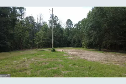 740 Barnes Road, Bowdon, GA 30108 - Photo 4