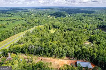 0 Braswell Lake Road, Gray, GA 31032 - Photo 10