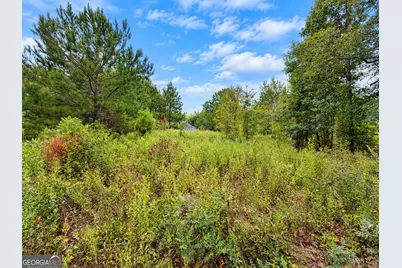 2.7 Acres Flamingo Estate, Hawkinsville, GA 31036 - Photo 6