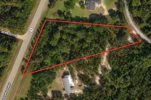 2 7 Acres Flamingo Estate, Hawkinsville, GA 31036 - Photo 1