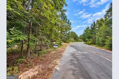 2.7 Acres Flamingo Estate, Hawkinsville, GA 31036 - Photo 8