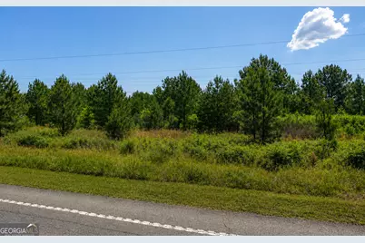 2.7 Acres Flamingo Estate, Hawkinsville, GA 31036 - Photo 4