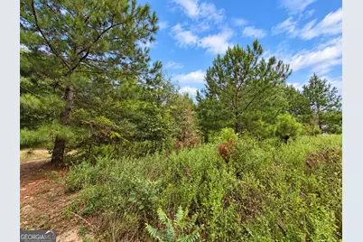 2.7 Acres Flamingo Estate, Hawkinsville, GA 31036 - Photo 4