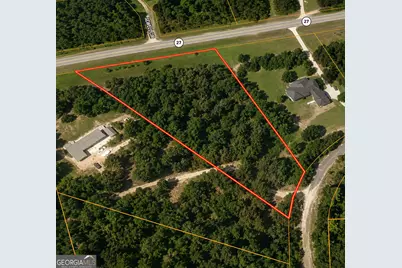 2.7 Acres Flamingo Estate, Hawkinsville, GA 31036 - Photo 2