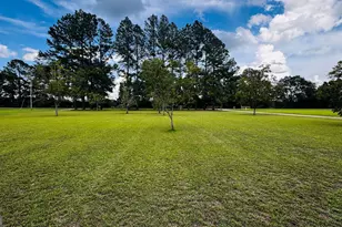 2479 Tellie Akins Rd, Claxton, GA 30417 - Photo 12