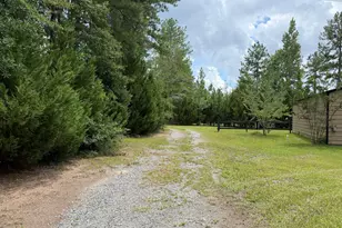 887 Orianna Rd, East Dublin, GA 31027 - Photo 66