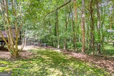 30 Orchard Hills Ct, Newnan, GA 30263 - Photo 36