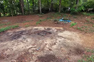 1311 Hickory Ridge Trail, Auburn, GA 30011 - Photo 20
