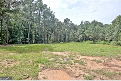 4141 Primrose Road, Grantville, GA 30220 - Photo 62