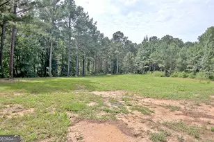 4141 Primrose Rd, Grantville, GA 30220 - Photo 62