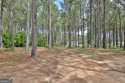 4141 Primrose Road, Grantville, GA 30220 - Photo 64