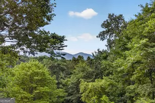 293 Weoka Ct, Ellijay, GA 30540 - Photo 48