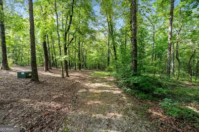 4165 Glenn Road, Franklin, GA 30217 - Photo 38