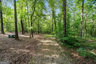 4165 Glenn Rd, Franklin, GA 30217 - Photo 38