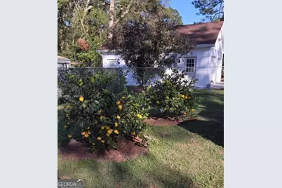 511 W Smith Street, Claxton, GA 30417 - Photo 50