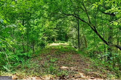 1744 Alexander Road, Monticello, GA 31064 - Photo 38