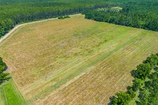 4690 Ammons Rd, Waycross, GA 31503 - Photo 2