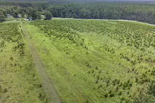 4690 Ammons Rd, Waycross, GA 31503 - Photo 18