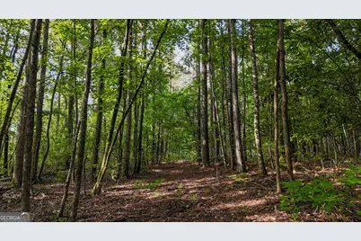 110 Handy Road, Newnan, GA 30263 - Photo 82