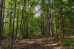 110 Handy Rd, Newnan, GA 30263 - Photo 82