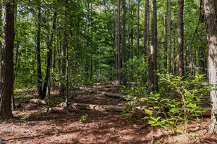 110 Handy Rd, Newnan, GA 30263 - Photo 84