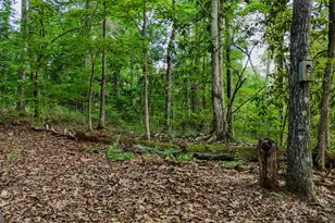110 Handy Rd, Newnan, GA 30263 - Photo 72