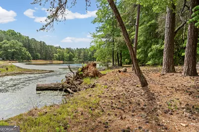110 Handy Road, Newnan, GA 30263 - Photo 40