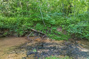 245 Sunrise Valley Rd, Blue Ridge, GA 30513 - Photo 38