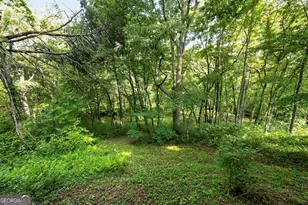 245 Sunrise Valley Rd, Blue Ridge, GA 30513 - Photo 36