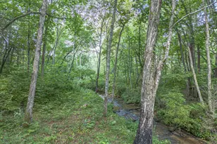 245 Sunrise Valley Rd, Blue Ridge, GA 30513 - Photo 44